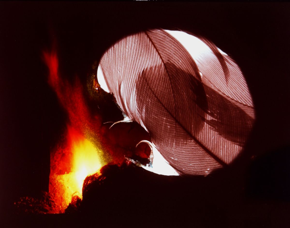 The edges are dark and in the left-center, a circular white light is covered by two red overlapping feathers. In the bottom left, a light similar to that of a campfire shines and reaches up toward the top of the frame.