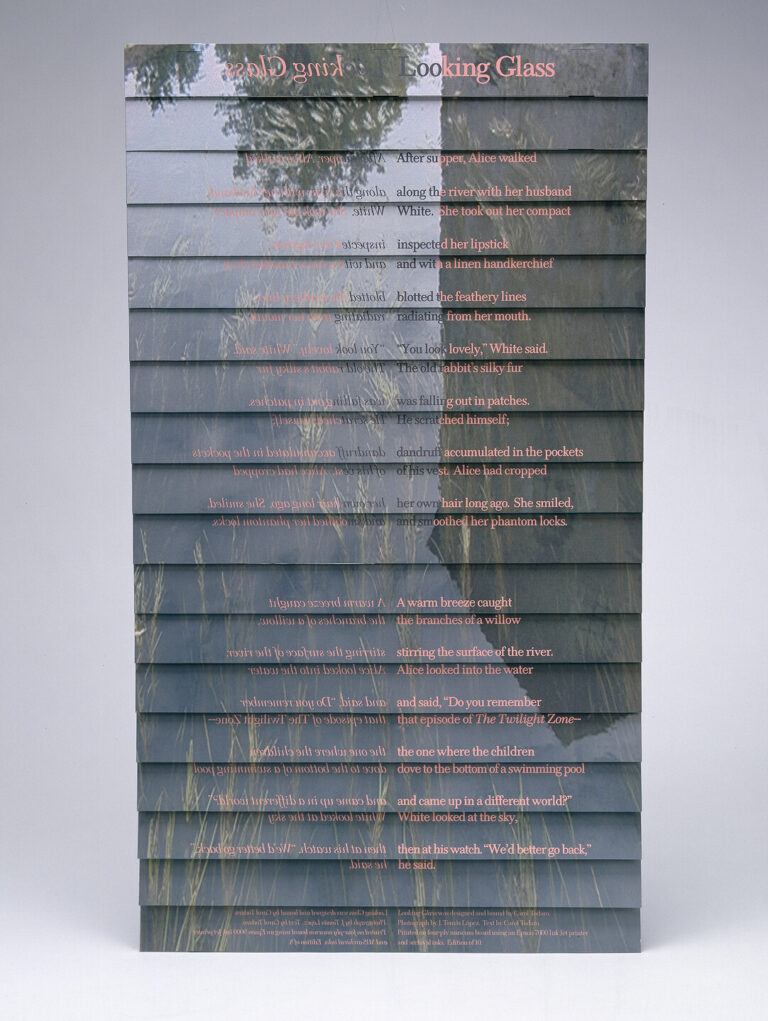 A vertical, folding book or accordion-style artwork features layered, overlapping text from a story and a background image of reeds and soft reflections in water. The text is partially obscured as the folds overlap.