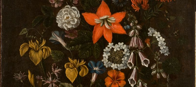 A detailed oil painting of a lush forest-floor still life featuring an asymmetrical arrangement of various flowers, including tall irises and morning glories, bell-shaped foxgloves, a central bright orange lily-like bloom, and clusters of white and pink blossoms. This is set against a dark, muted background.