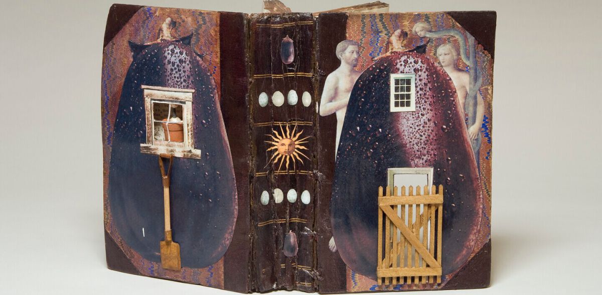 An open book features surreal, collage-like illustrations of human figures, eggplants, abstract shapes, and mythological scenes. The book stands upright with pages spread, revealing the colorful book covers and spine.