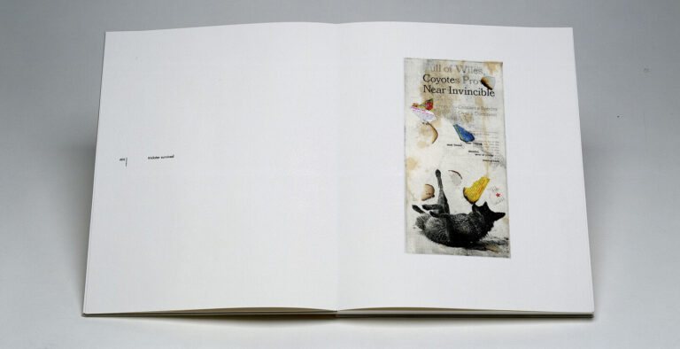 Susan Goethel Campbell, After the Deluge: The Post-Ark Report, 2002; Photoetching with aquatint and chine colle, 14 x 11 x 1 in.; National Museum of Women in the Arts, Museum Purchase; © Susan Goethel Campbell