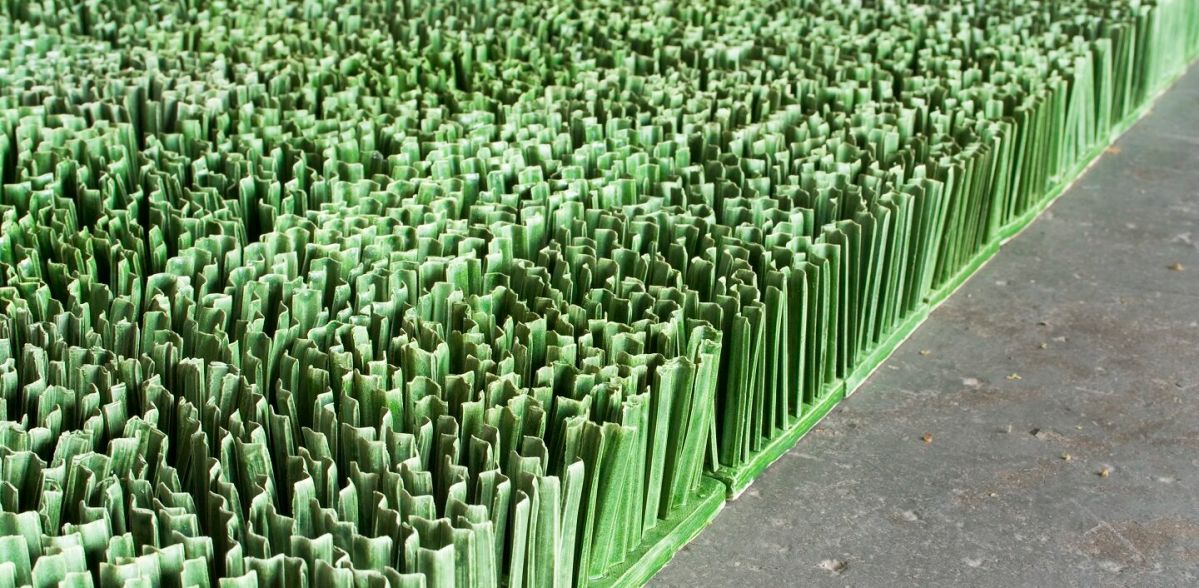 Featured Image: Organic Matters