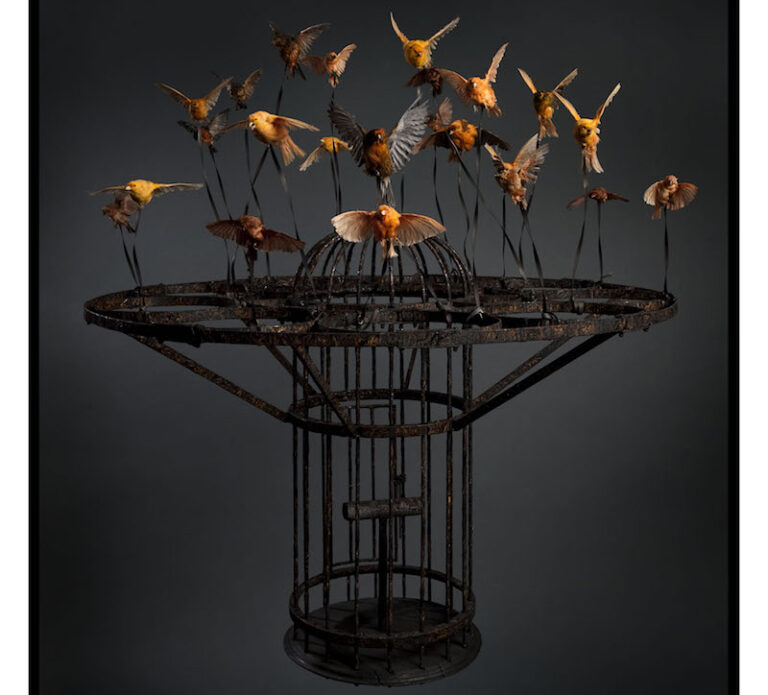 Large, black steel birdcage held aloft by over a dozen orange and yellow songbirds in flight, tethered to the cage by wires.