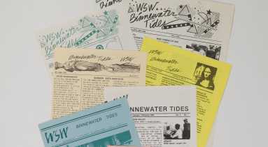 A collection of newsletters printed on light pink, blue, yellow, and white paper is arranged neatly on a white background.